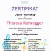 opern-workshop 2015 - theresa
